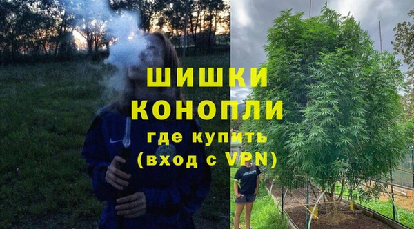 PSILOCYBIN Бугульма